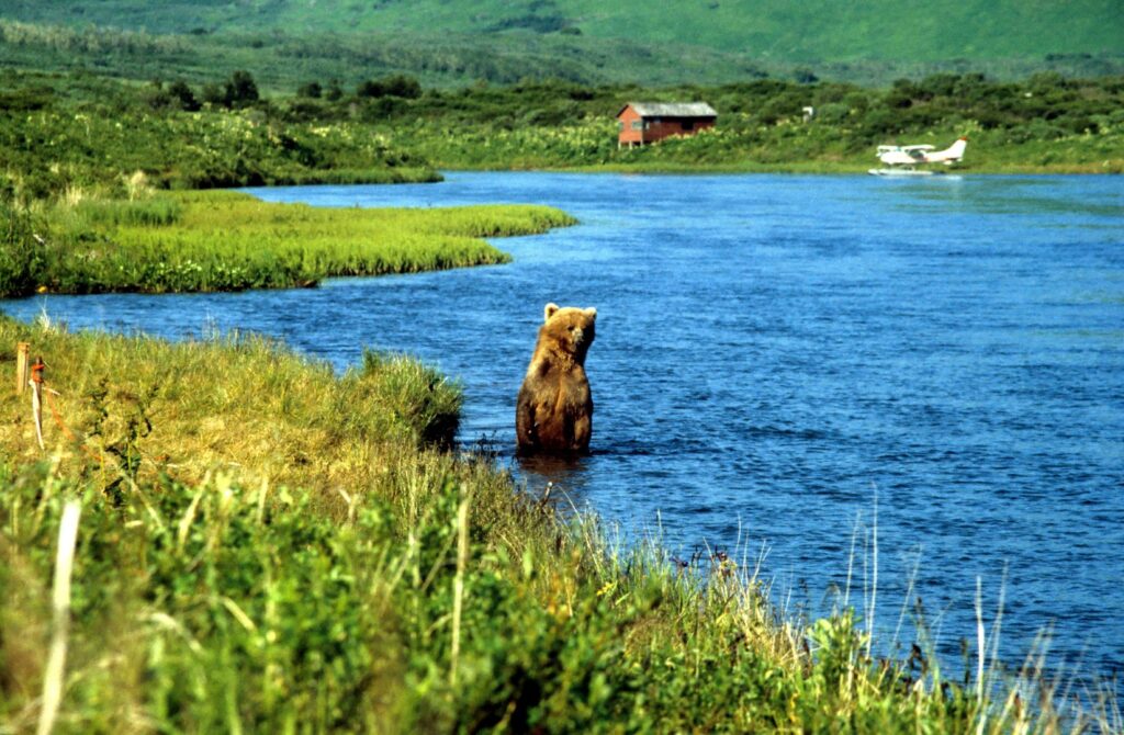 Alaska Rundreise - Privatreise nach Alaska 27 Tage Reise - Urlaub in Alaska
