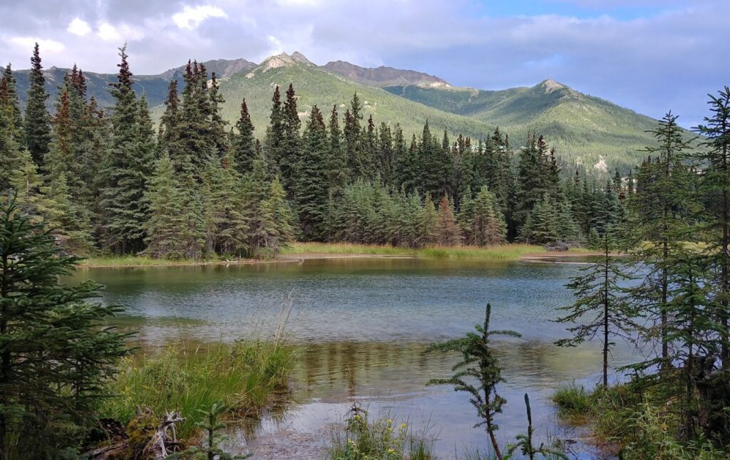 Alaska Rundreise - Privatreise nach Alaska 27 Tage Reise - Urlaub in Alaska