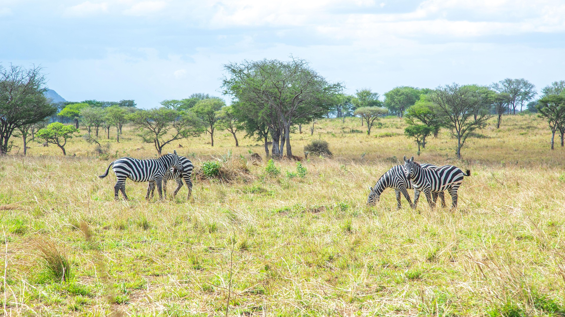 Kidepo Valley