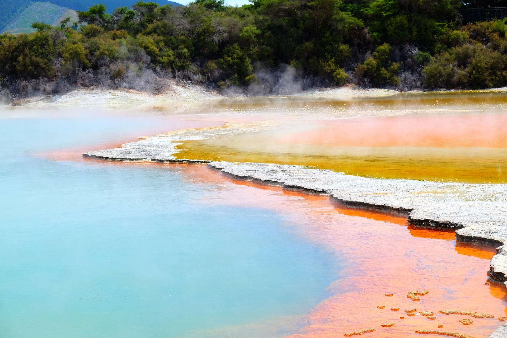Rotorua erleben - Neuseeland Urlaub