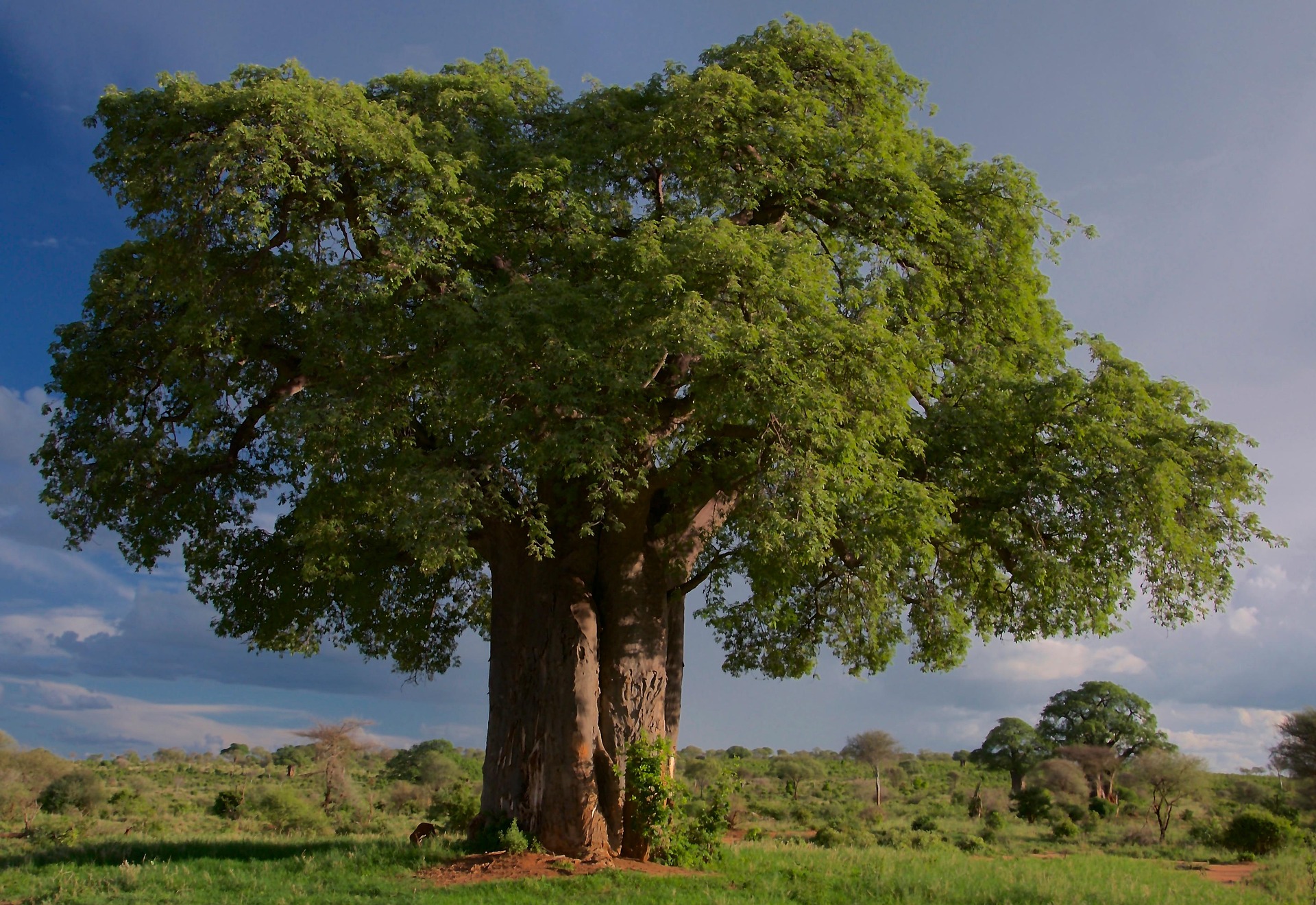 Uganda Reisen - Uganda Privatreise - Individualreise Uganda